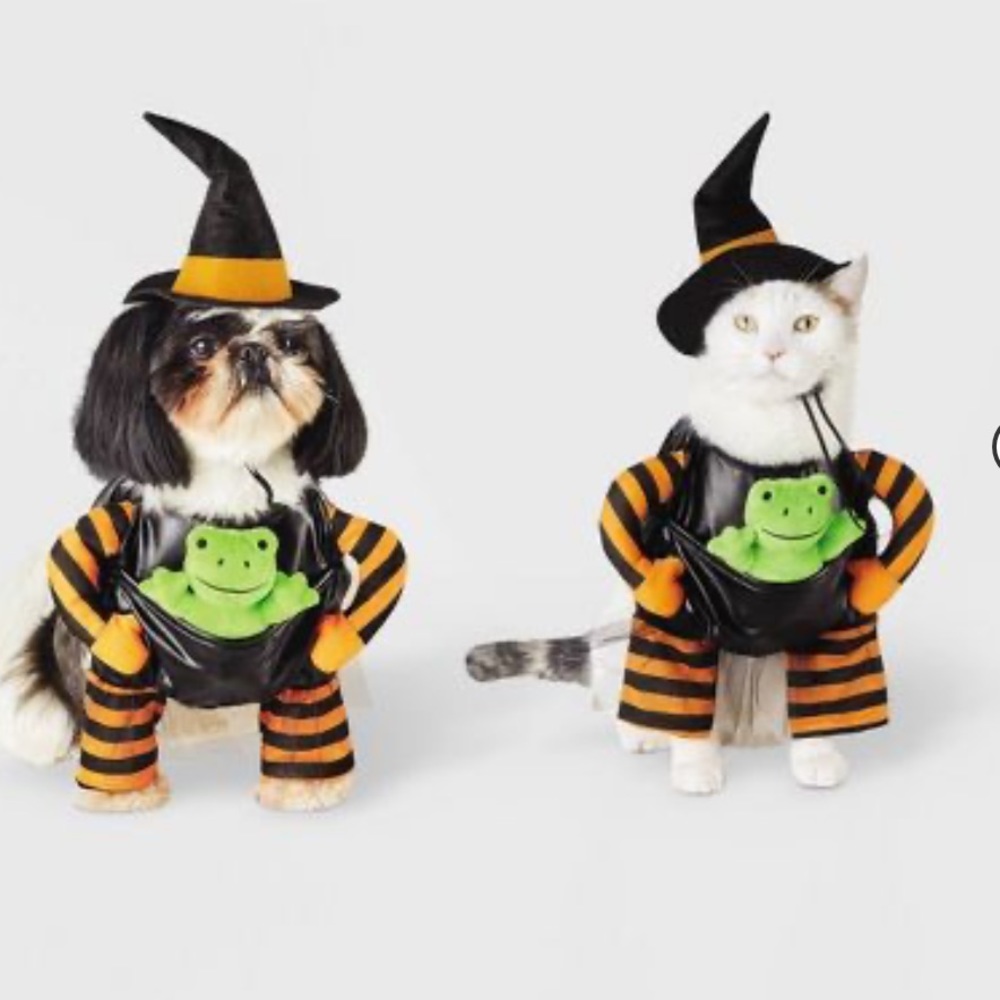 Hyde and EEK! Pet Witch Costume~ Small